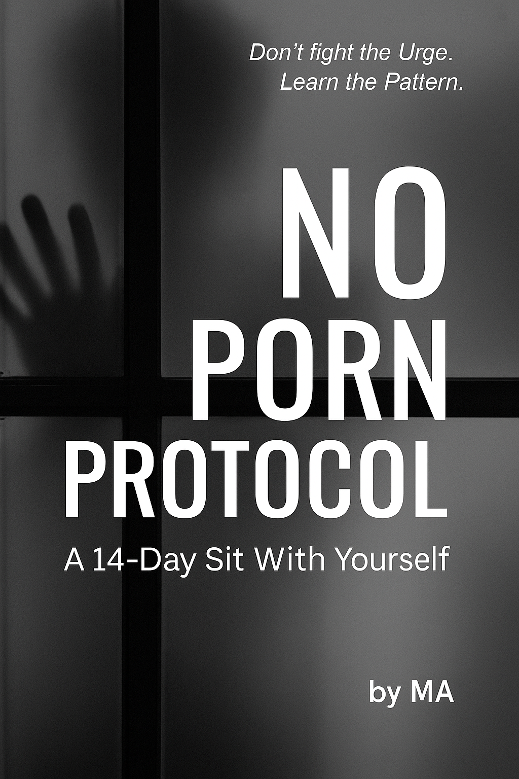 No-Porn Protocol cover